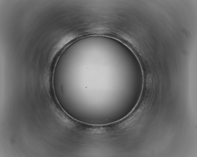 X0000112051410200908111340