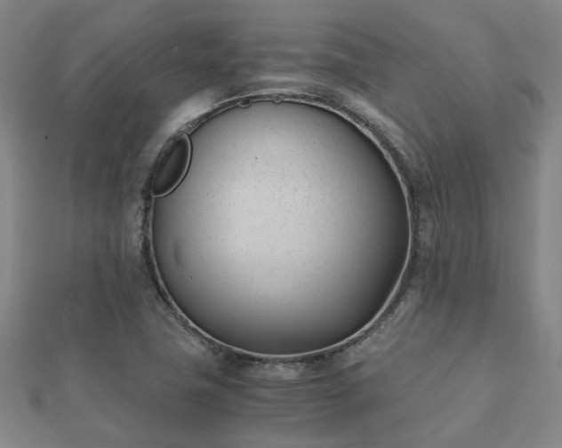 X0000112051411200908111340