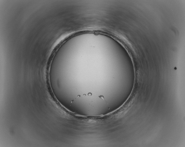 X0000112051412200908111340