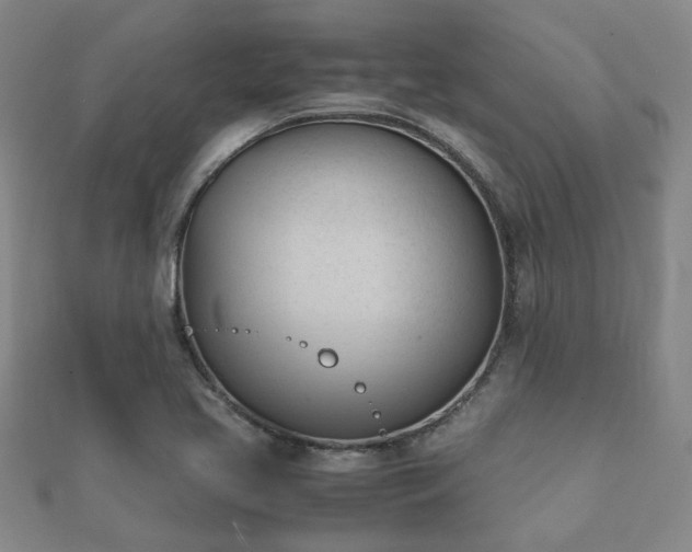 X0000112051413200908111340