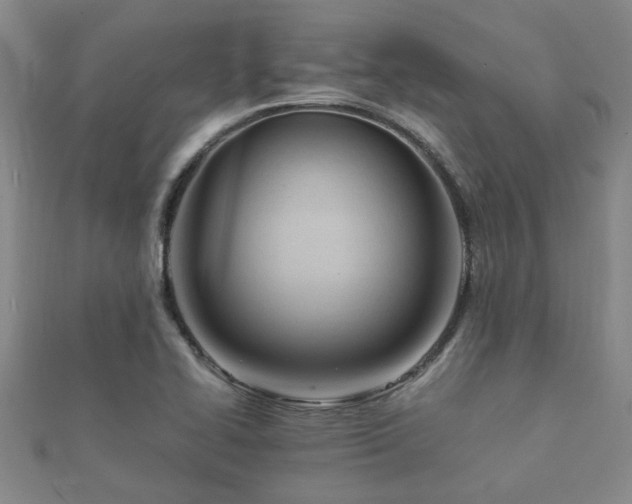 X0000112051414200908111340