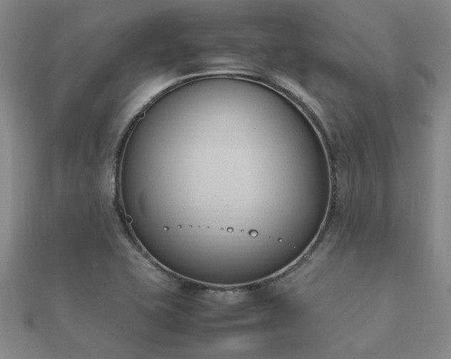 X0000112051415200908111340