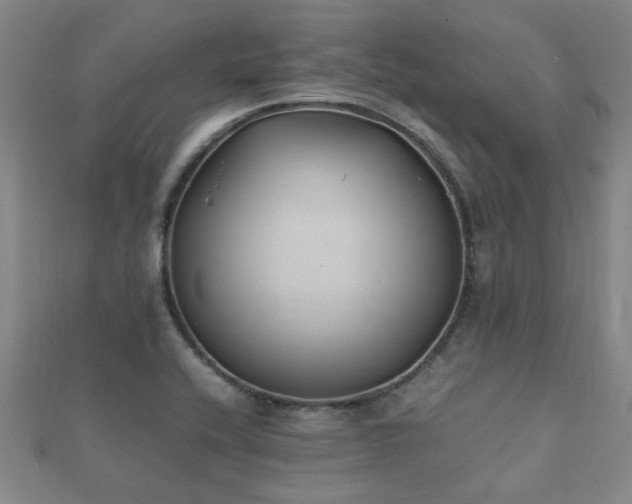 X0000112051416200908111340