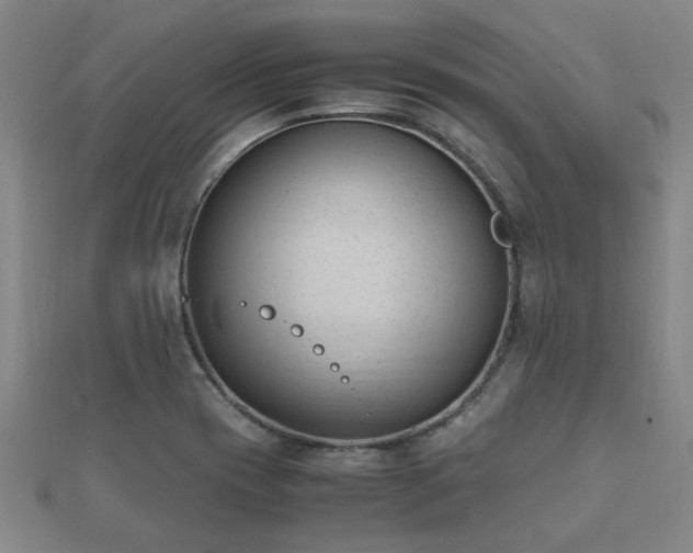 X0000112051417200908111340