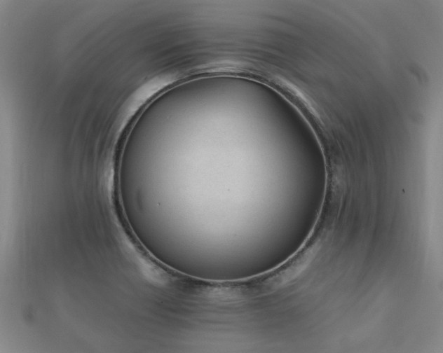 X0000112051418200908111340