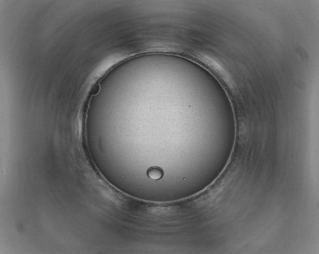 X0000112051419200908111340