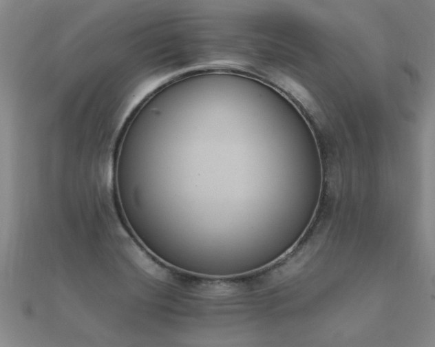 X0000112051420200908111340