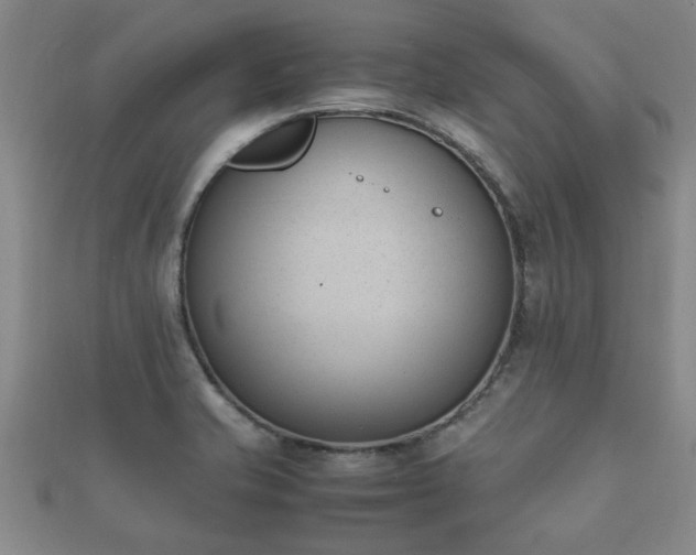 X0000112051421200908111340