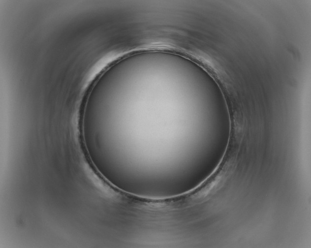 X0000112051422200908111340