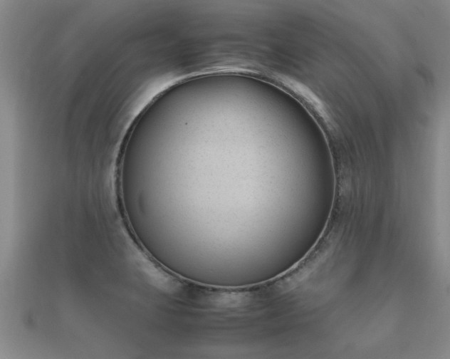 X0000112051423200908111340