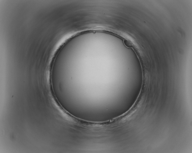 X0000112051424200908111340