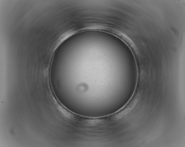 X0000112051425200908111340