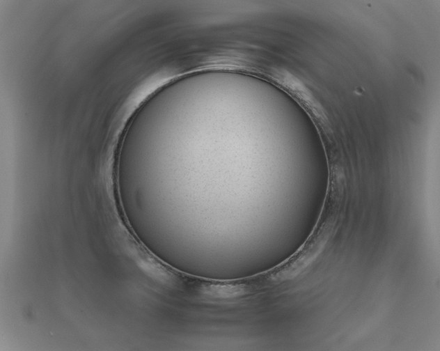 X0000112051427200908111340