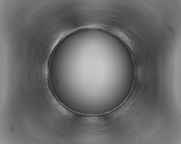 X0000112051428200908111340