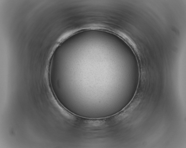 X0000112051429200908111340