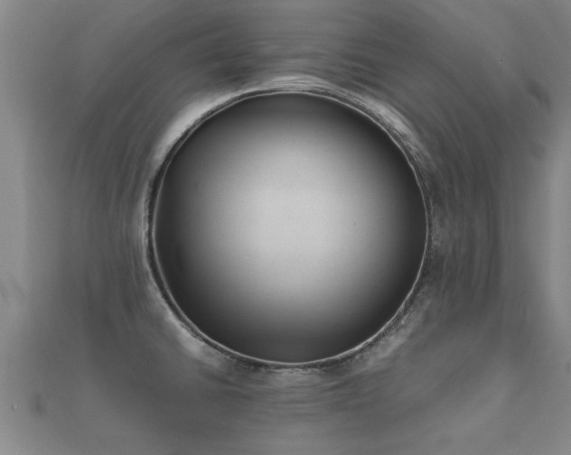 X0000112051430200908111340