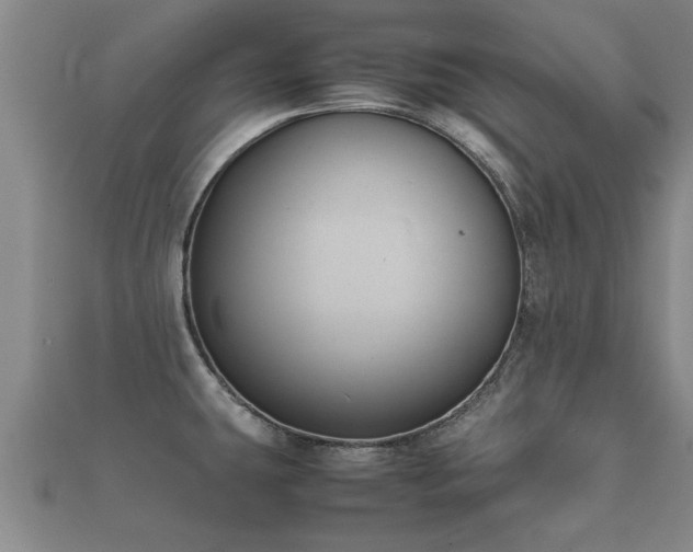 X0000112051431200908111340