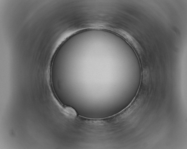 X0000112051432200908111340