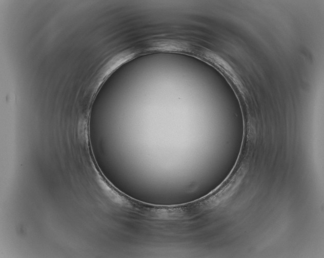 X0000112051433200908111340