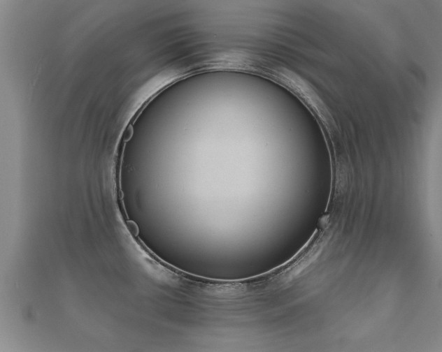 X0000112051434200908111340