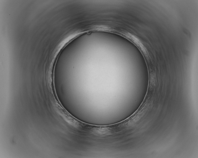 X0000112051435200908111340