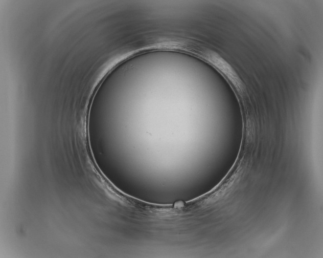 X0000112051436200908111340