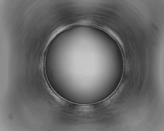 X0000112051437200908111340