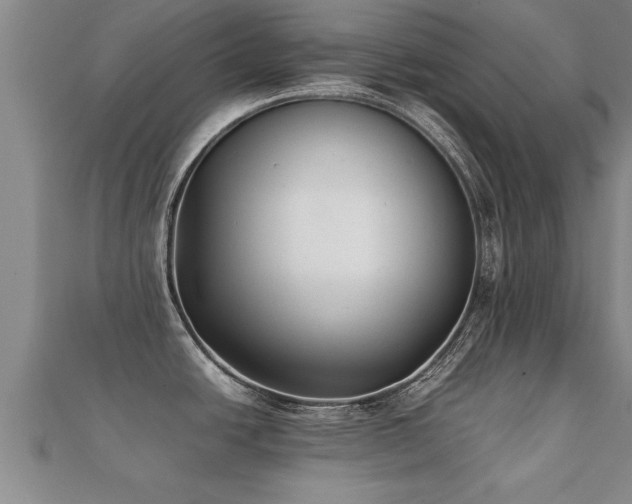 X0000112051438200908111340