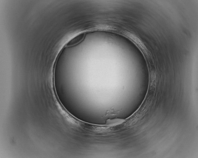 X0000112051439200908111340