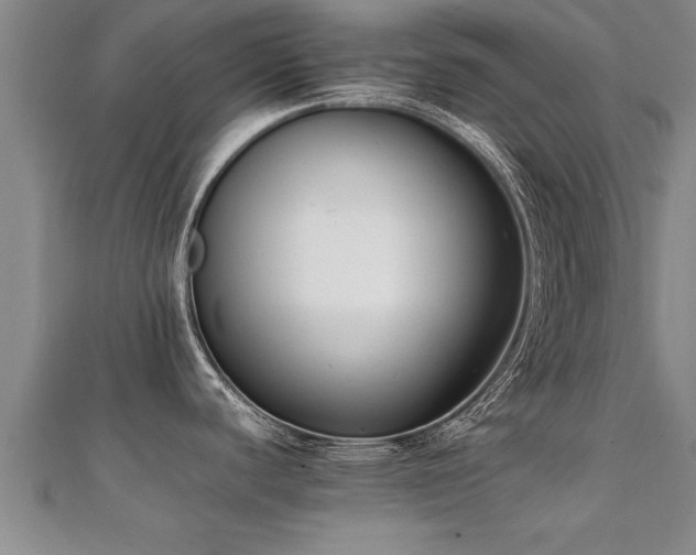 X0000112051440200908111340