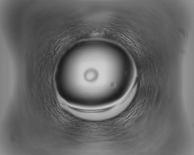 X0000112051441200908111339