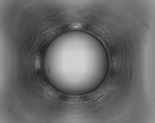 X0000112051442200908111339