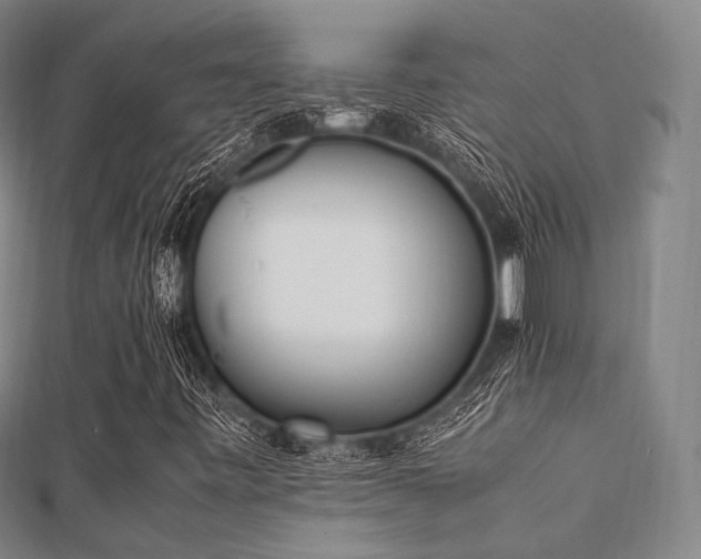 X0000112051443200908111339