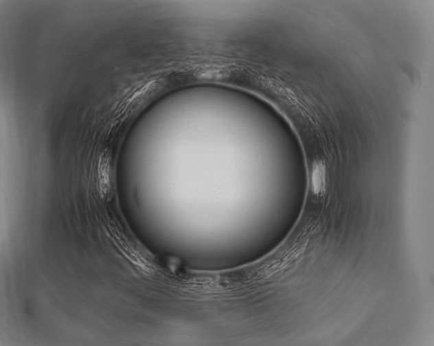 X0000112051444200908111339