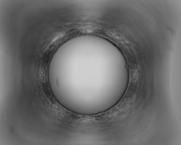 X0000112051446200908111339