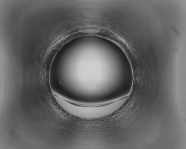 X0000112051448200908111339