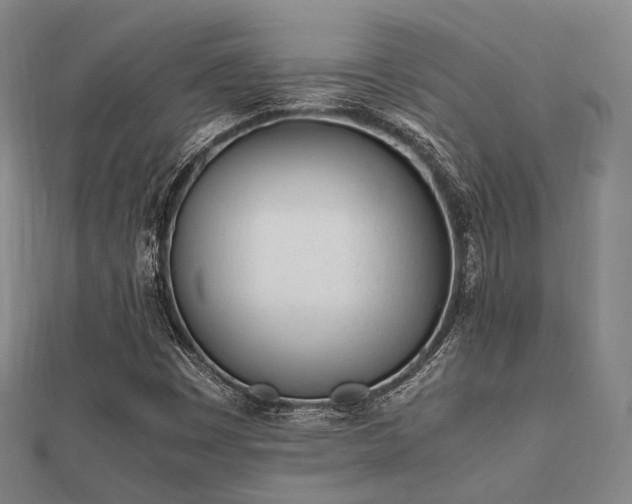 X0000112051449200908111339