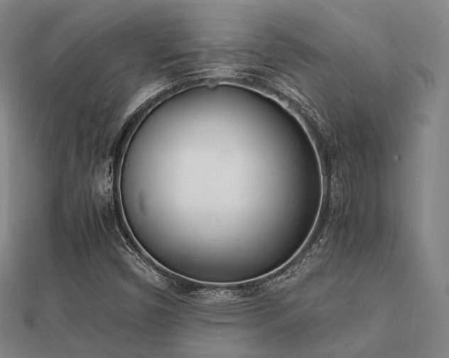 X0000112051450200908111339