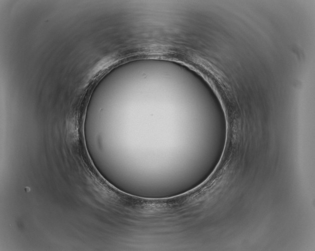 X0000112051451200908111339