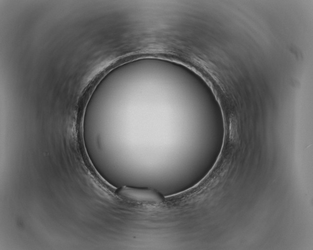 X0000112051452200908111339