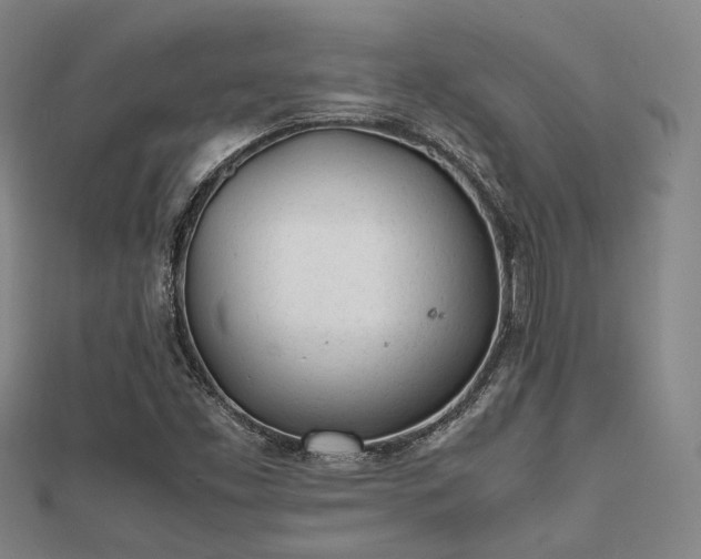 X0000112051453200908111339