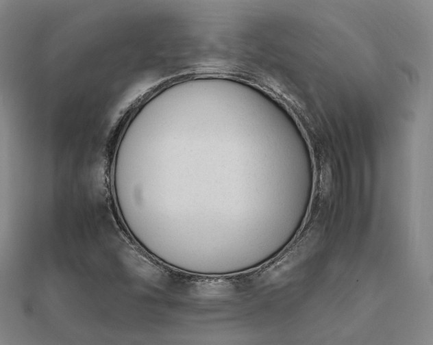 X0000112051454200908111339