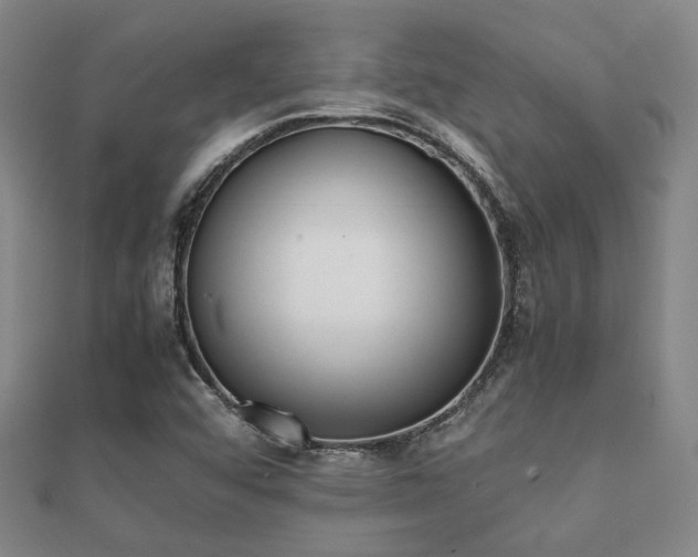 X0000112051456200908111339