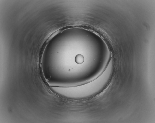 X0000112051457200908111339