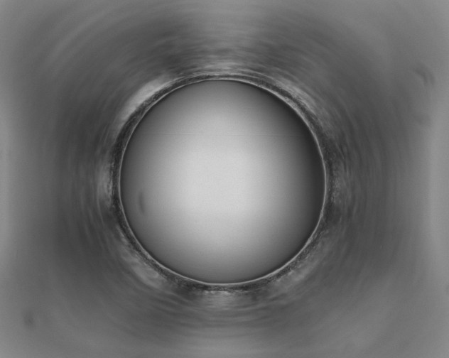 X0000112051458200908111339