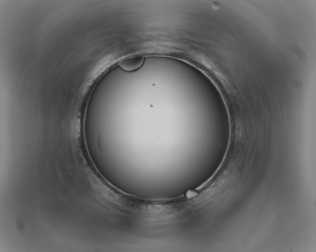 X0000112051459200908111339