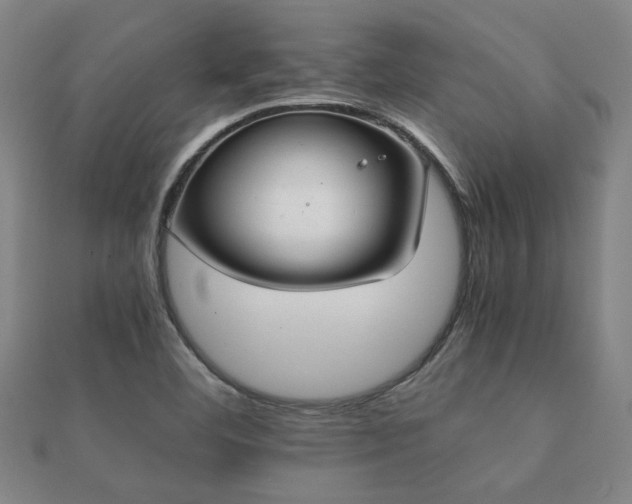 X0000112051460200908111339