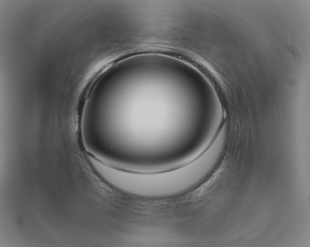 X0000112051461200908111339