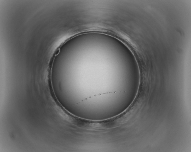 X0000112051463200908111339