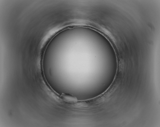 X0000112051464200908111339